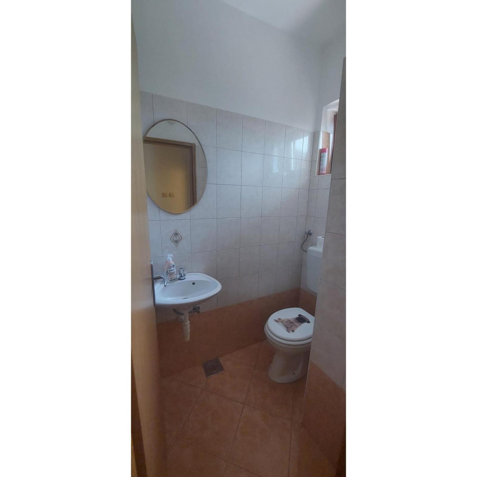 Apartman Dino Roč Εξωτερικό φωτογραφία