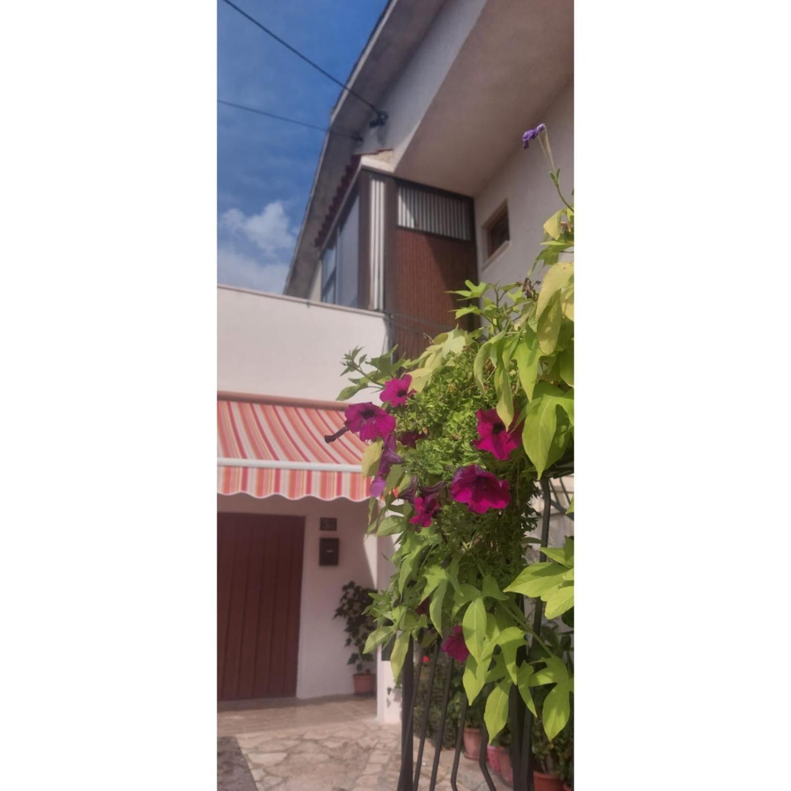 Apartman Dino Roč Εξωτερικό φωτογραφία